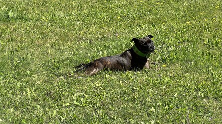 IMG_0159.jpeg