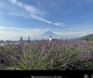 IMG_5049.jpeg
