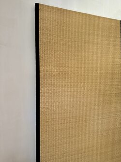 IMG_3184.jpeg