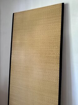 IMG_3185.jpeg