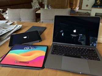 IMG_0820.jpeg