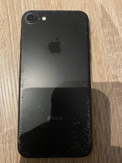 IMG_2957.jpeg