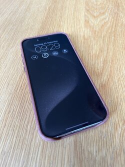IMG_6687.jpeg
