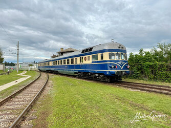 IMG_7724.jpeg