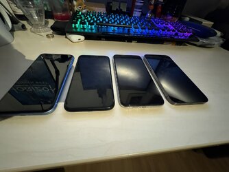 IMG_3036.jpeg