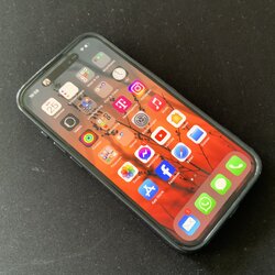 IMG_1095.jpeg