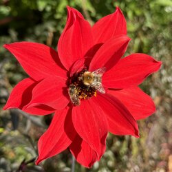 IMG_0126.jpeg