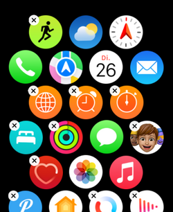 watchOS10_Raster.png