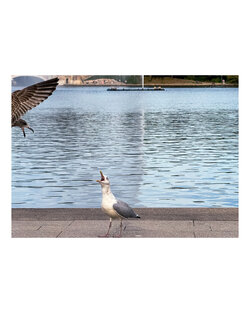 IMG_4127.jpeg