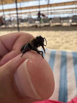IMG_2840.jpeg