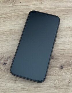 IMG_2651.jpeg