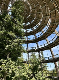 IMG_0921.jpeg