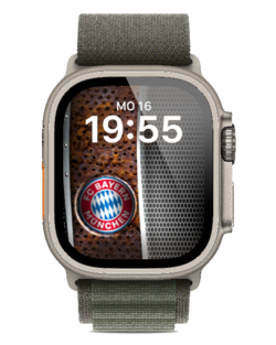 Bayern München Face Metall.png