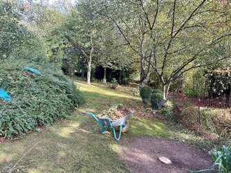 IMG_0967.jpeg