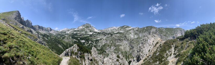 IMG_5001.jpeg