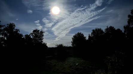 IMG_4290.jpeg
