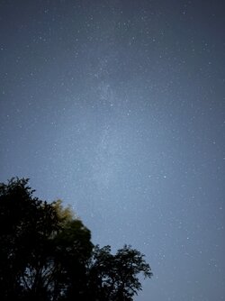 IMG_1551.JPG