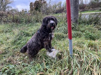 IMG_5292.jpeg