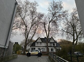 IMG_1850.JPG