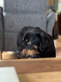 IMG_0441 Kopie.jpg