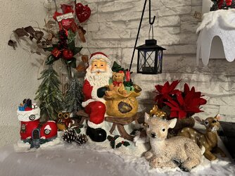 IMG_2211.JPG