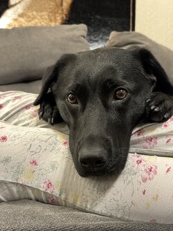 IMG_1218.jpeg