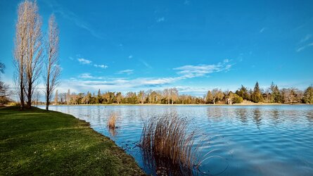 IMG_0636.jpeg