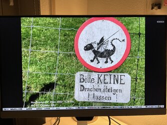 IMG_0334.jpeg