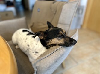 IMG_1292.jpeg