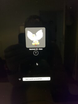 IMG_1485.jpeg