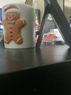 IMG_3686.jpeg