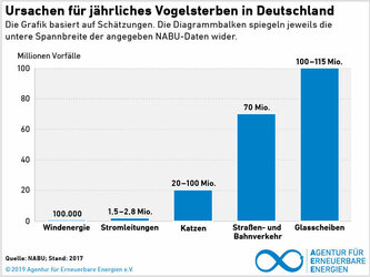 AEE_Ursachen_Vogelschlag_2019.jpg