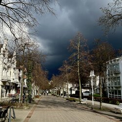 IMG_8787.jpeg
