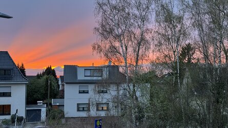 IMG_4789.jpeg