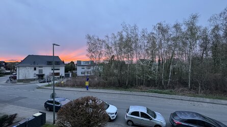 IMG_4790.jpeg