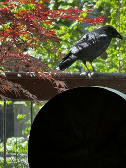 IMG_1876.jpeg