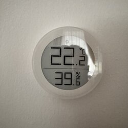 IMG_1948.jpeg