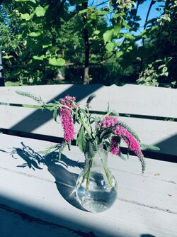 ohne Titel