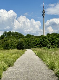 IMG_9343.jpeg