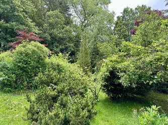 IMG_1790.jpeg