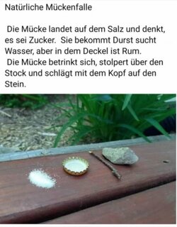 Bild 1.jpeg