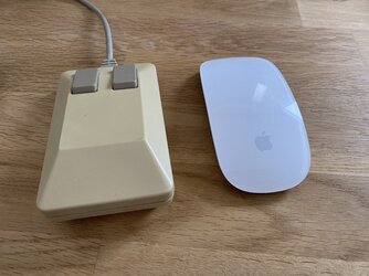 IMG_6675.jpeg
