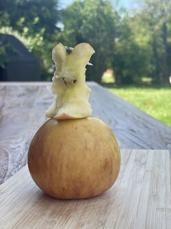 Ganz schön Apfelkitsch-ig