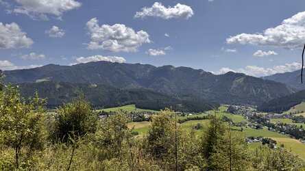 IMG_2418.jpeg