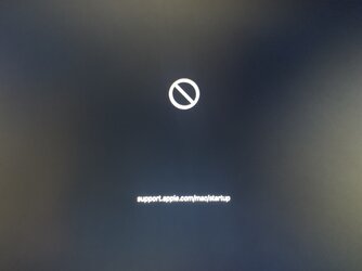4.jpeg 4.jpeg