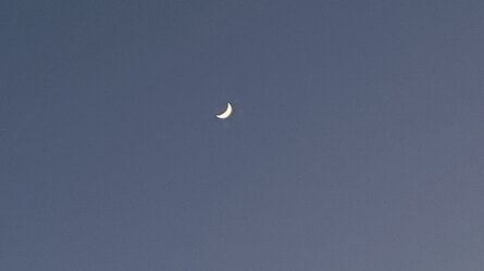 IMG_3906.jpeg