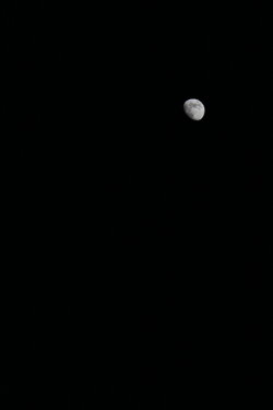 mond-canon.JPG