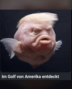 IMG_0343.jpeg