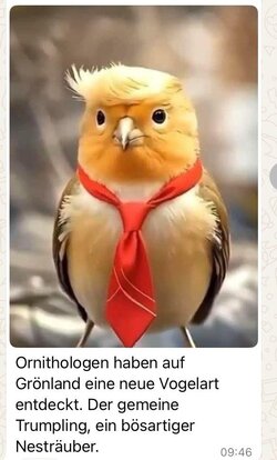 WhatsApp Bild 2025-03-27 um 06.45.37_566d7a59.jpg