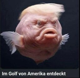 WhatsApp Bild 2025-03-27 um 06.45.36_88cd6db6.jpg